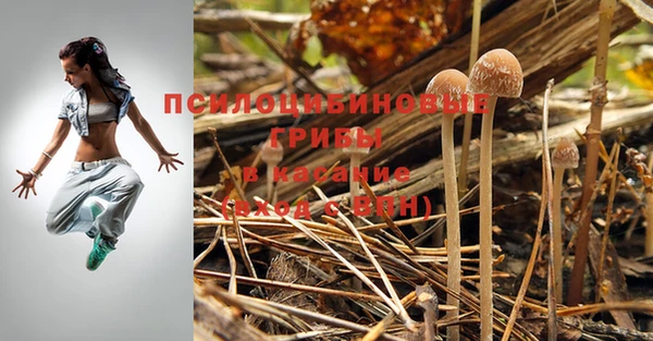 марки nbome Алексин